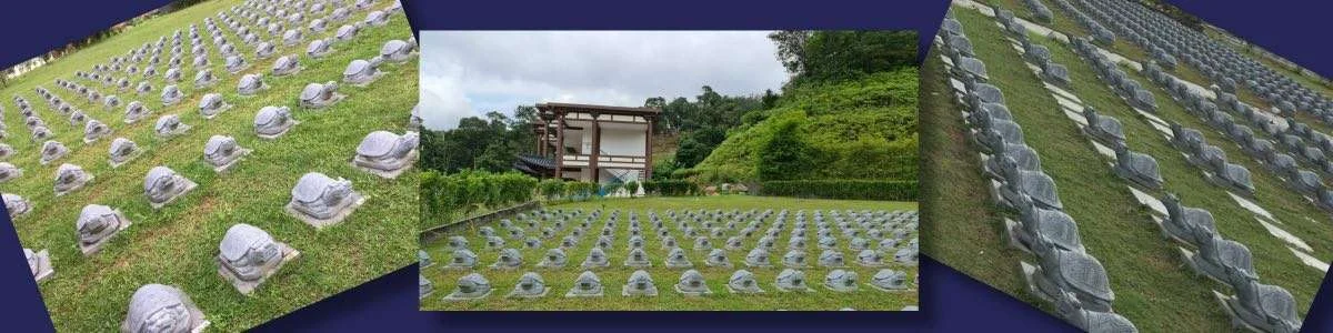 Nirvana NV Seed Malaysia Nirvana Seed Sheng Ji